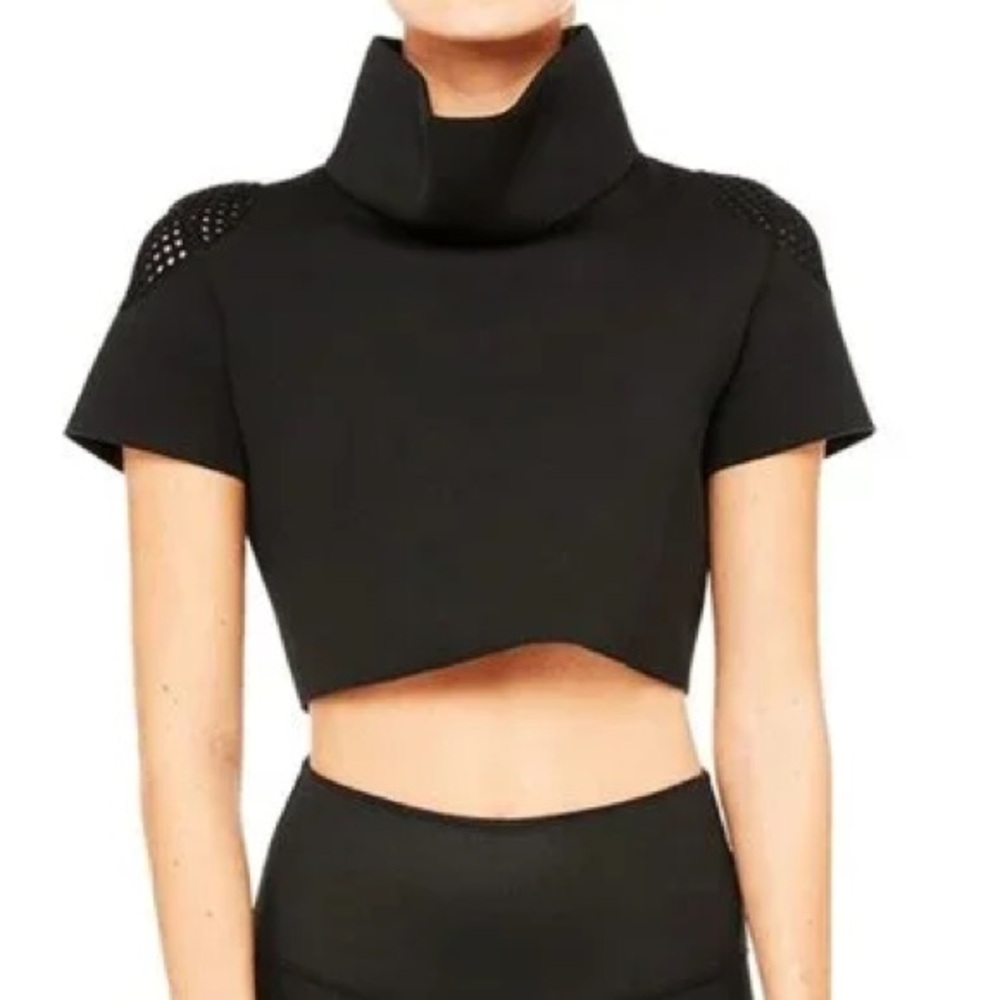ALO Yoga Neoprene Mockneck Crop Top (size small)